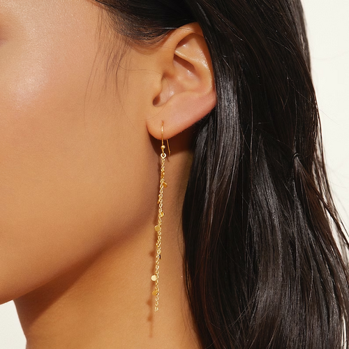 NL Dangle Earrings